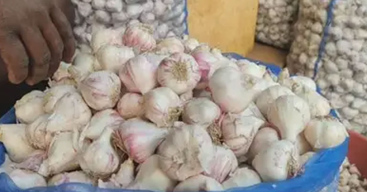 garlic price